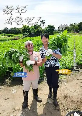 编辑手选配图：轻节奏综艺便签